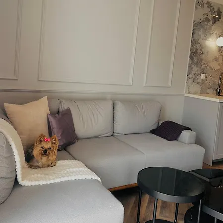 Downtown Podpromie Monica With Underground Parking *