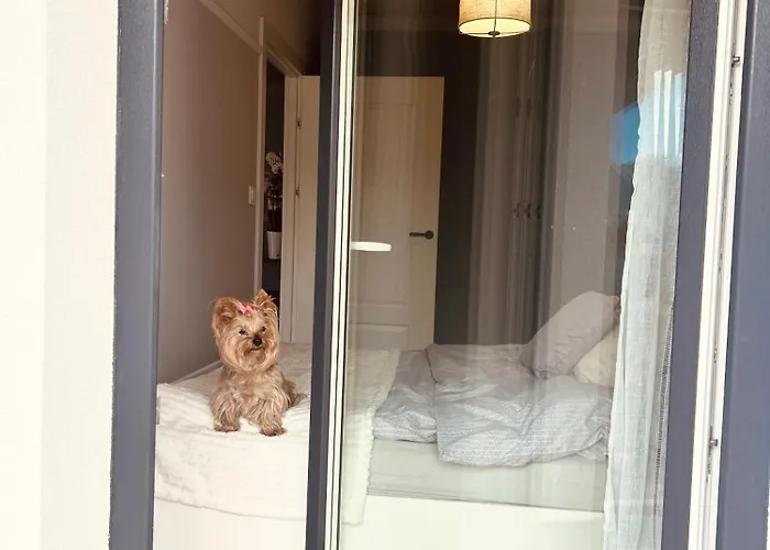 Downtown Podpromie Monica With Underground Parking Apartment